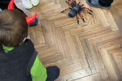 450a306f-0d3d-4a8f-9761-36c6c5139890