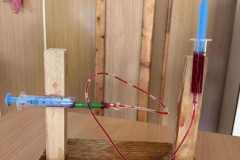 576637041_1618279989556899_174793942393944879_n