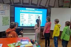 b8635bb2-9327-423c-975c-8a9111977ec0